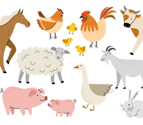 Animalele domestice în franceză